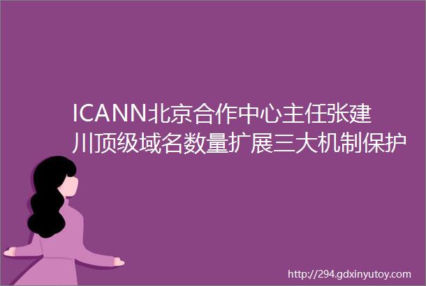 ICANN北京合作中心主任张建川顶级域名数量扩展三大机制保护商标品牌