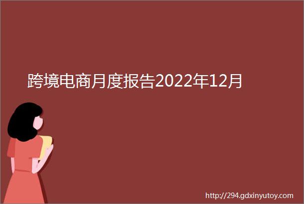 跨境电商月度报告2022年12月
